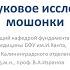Ультразвуковое исследование мошонки