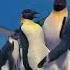 Happy Feet Ending Scene