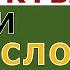 Фрукты сладкий картофель заедают кокосовым маслом и остаются здоровыми Китава Папуа Новая Гвинея