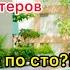 Власти вдвое уменьшили лимиты обязательной продажи валютной выручки экспортерами Ждем доллар по 100