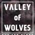 Valley Of Wolves Born Bold Official Audio