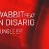 Danny Wabbit Internal Jungle Tronic