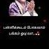 Pachaikili Muthucharam Song Lyrics Ulagam Sutrum Valiban Movie M G R Shorts Mgrsong