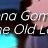Selena Gomez Same Old Love Slowed Reverb