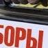 Жириновский России нужны честные выборы