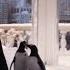 Los Pingüinos De Papá HD Pelicula Completa Español Latino