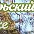 А вечерочек а вечерок А рядом милая А та пластиночка поет виниловая