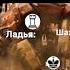 Шахматные мемы 32 Chess ловушка мат шахи шахматы мемы Chessgame Chessmemes Chesspuzzle