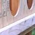 DIY Chicken Coop From SCRATCH