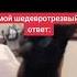 Кисуня шарит Трек DJ UNIVXRSEL VOICES IN MY HEAD TROLLFACE MEME