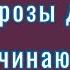 Неприхотливые розы для начинающих розоводов