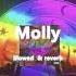 Molly Forgotten Slowed X Reverb