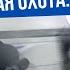Подводный мир Дельта Ночная охота