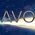 HAVOC LXST CXNTURY