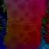 Preview 2 Numa Cat V5 1 Effects Preview 2 Effects Sony Veg Ver