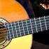 Ne T En Va Pas Mario Regis Gipsy Del Mundo LucasGitanoFamily Flamenco Guitar Cover Gipsy Kings