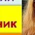 Английский Видео Разговорник для Путешествий Индонезия