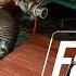 Прохождение Fallout 4 Часть 88 Избавление