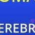 Сломана Serebro Karaoke Version