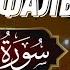 Ясир аль Даусари Сура аль Анфаль С переводом 2004 г