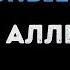 Ирина Аллегрова Свадебные цветы Караоке