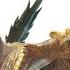Flying Wyvern Ecology Tigrex In Monster Hunter
