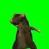 Dancing Mouse Fyp Mouse Dance