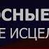 1 3 5 Здоровые Кровеносные Сосуды ГЛУБОКОЕ ИСЦЕЛЕНИЕ резонансный саблиминал