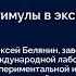 Алексей Белянин Стимулы в экспериментах