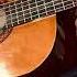 Сектор Газа Ночь перед рождеством Fingerstyle Guitar