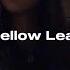 Yellow Leaf ส วนน อย Jeff Satur SAREENA