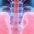 7 Signs That Your Respiratory Infection Is Dangerous