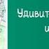 Удивительный Волшебник из Страны Оз АУДИОКНИГА ПОЛНОСТЬЮ