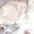 Within Temptation Mercy Mirror