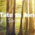 Let The Light Shine In 12 Original Mix