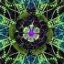 Entheogenic Soma Veda Mix Music Video