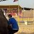Mustafa Hanif Hit By A Big Bull