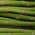 Asparagus 101 Best Way To Store Asparagus