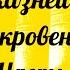 ДЕСЯТЬ КАЗНЕЙ ИЛИ ОТКРОВЕНИЙ Часть 7