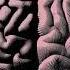 Left Brain Vs Right Brain