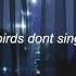 TV Girl Birds Dont Sing Lyrics