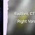 SadSvit СТРУКТУРА ЩАСТЯ Силуети Right Version Gachi Remix