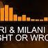 Nari Milani Vs The Cobs Right Or Wrong Original Mix Big Dirty Recordings