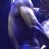 Magic Mike Live Las Vegas BLAIR EDWARDS MEREDITH OSTROWSKY S WET DREAM