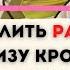 Определить рак по анализу крови Показатели крови указывающие на онкологию Диагностика Симптомы