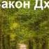 14 День Медитация Изобилие и закон Дхармы Дипак Чопра