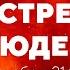 Всё что вы хотели знать про люденов и не знали у кого спросить