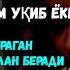 Душанба ТОНГИНГИЗНИ АЛЛОХНИНГ КАЛОМ БИЛАН І АЛЛОХ ТАОЛО СИЗ СУРАГАН НАРСАНГИЗНИ ОРТИҒИБИЛАН БЕРАДИ