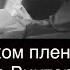 В российском плену погибла украинская журналистка Виктория Рощина Стрим с Владимиром Осечкиным