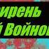 Белая сирень ЕВГЕНИЙ ВОЙНОВ видео Бердянск 21 05 2023